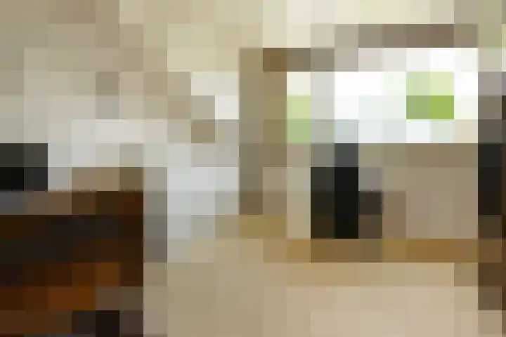 De Wuurde 10 Elst thumbnail 32