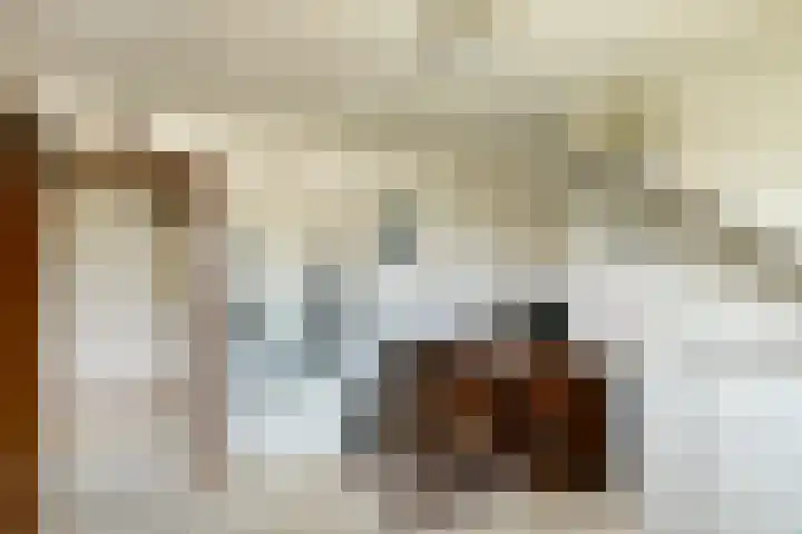 De Wuurde 10 Elst thumbnail 33