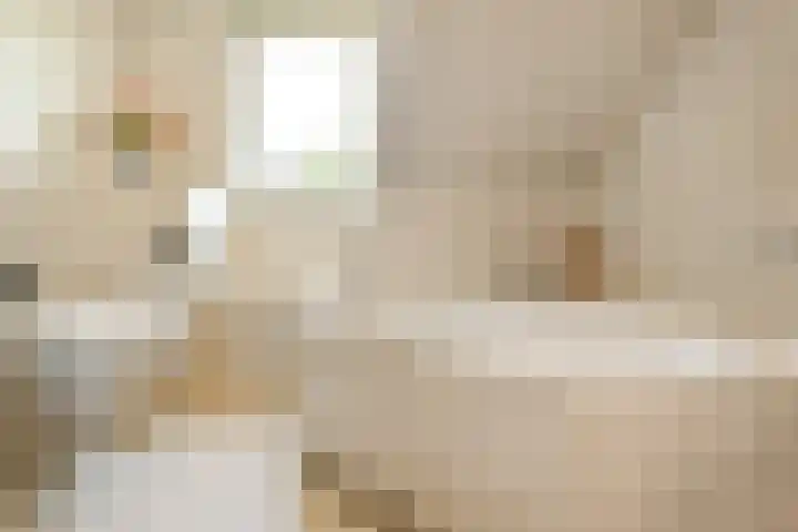 De Wuurde 10 Elst thumbnail 35