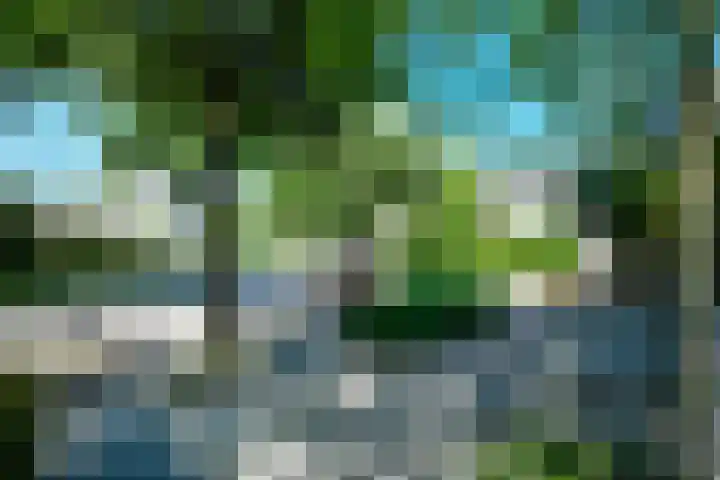 De Wuurde 10 Elst thumbnail 4