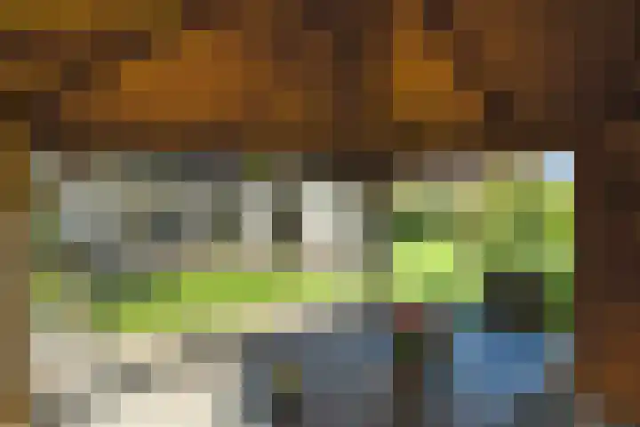 De Wuurde 10 Elst thumbnail 48