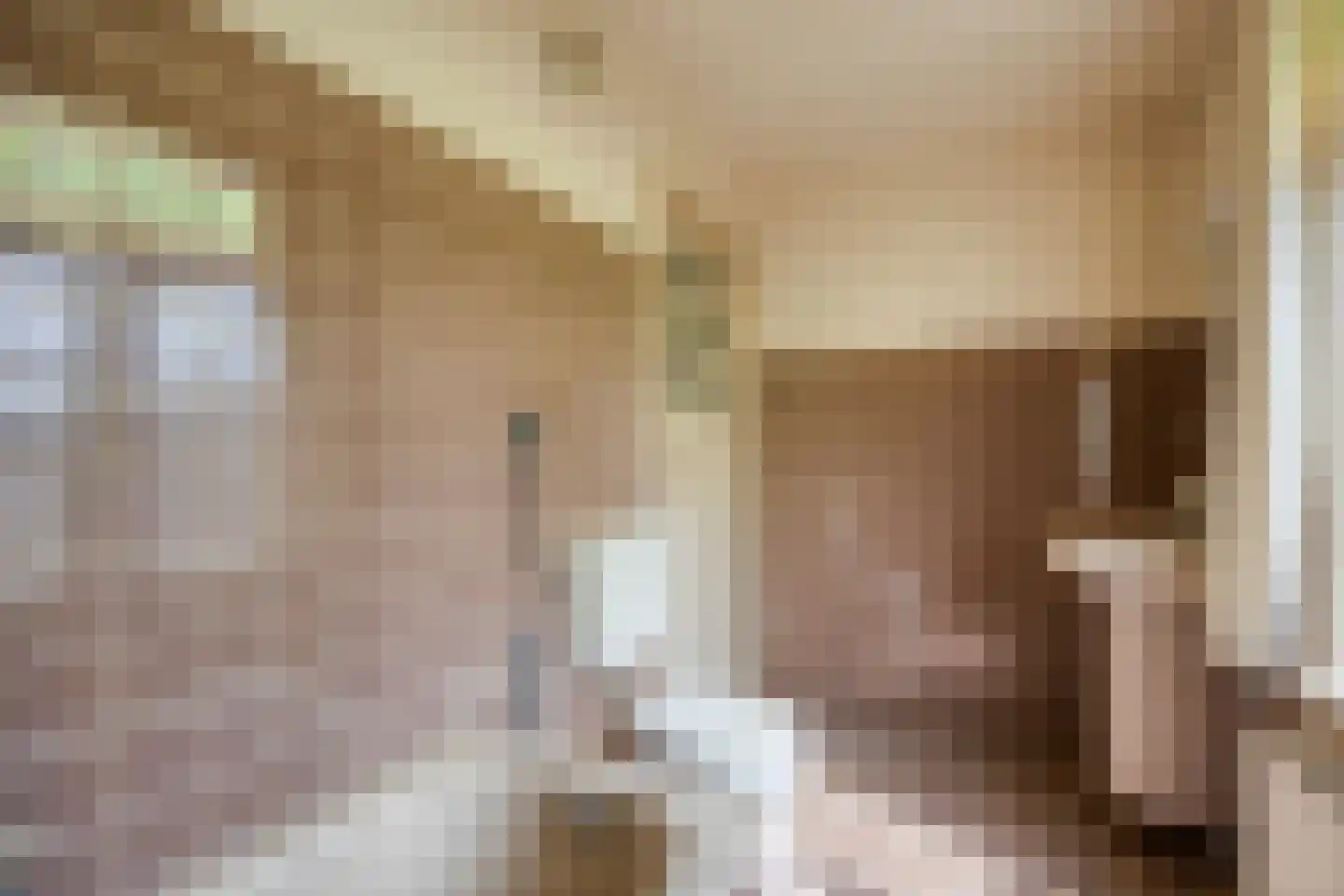 De Wuurde 24 Elst thumbnail 28