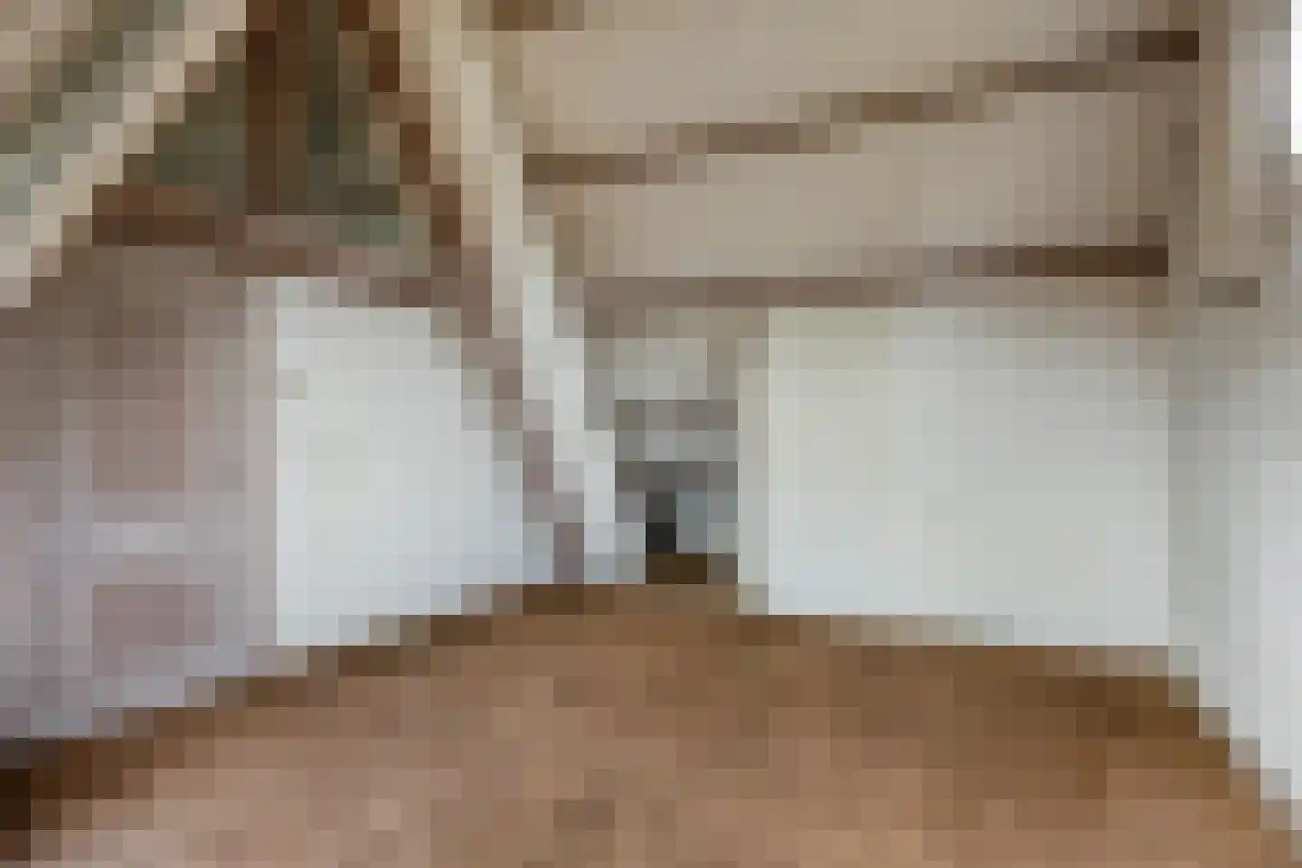 De Wuurde 24 Elst thumbnail 38