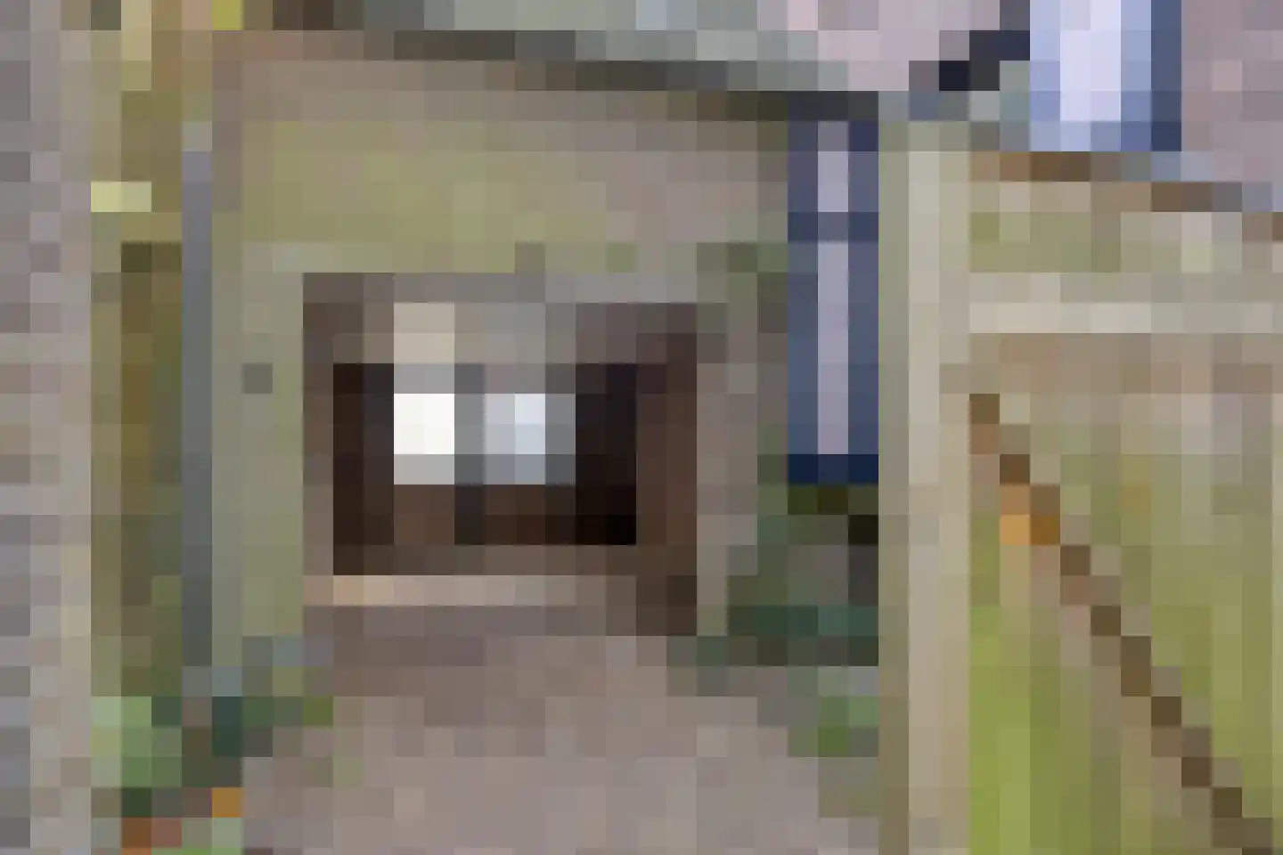 De Wuurde 24 Elst thumbnail 39