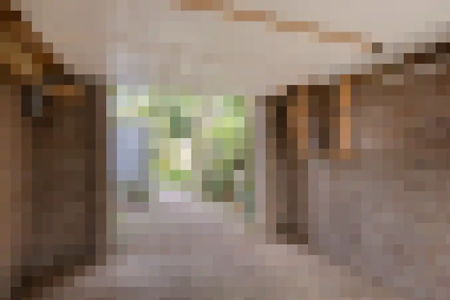 De Wuurde 24 Elst thumbnail 40
