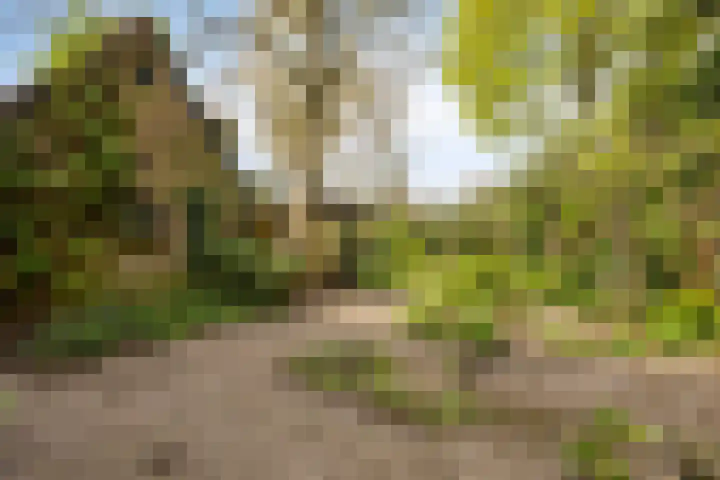 De Wuurde 24 Elst thumbnail 41