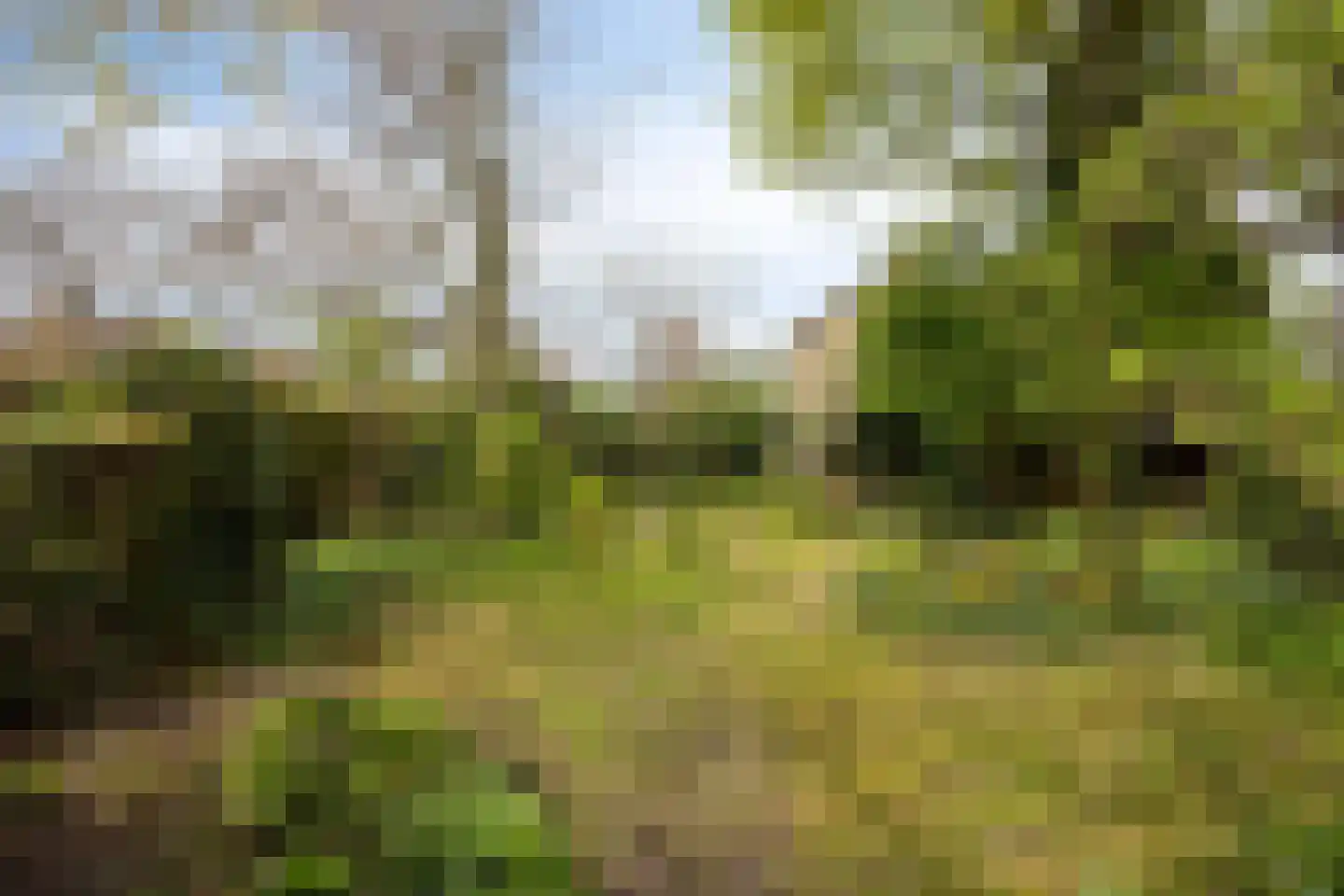 De Wuurde 24 Elst thumbnail 42