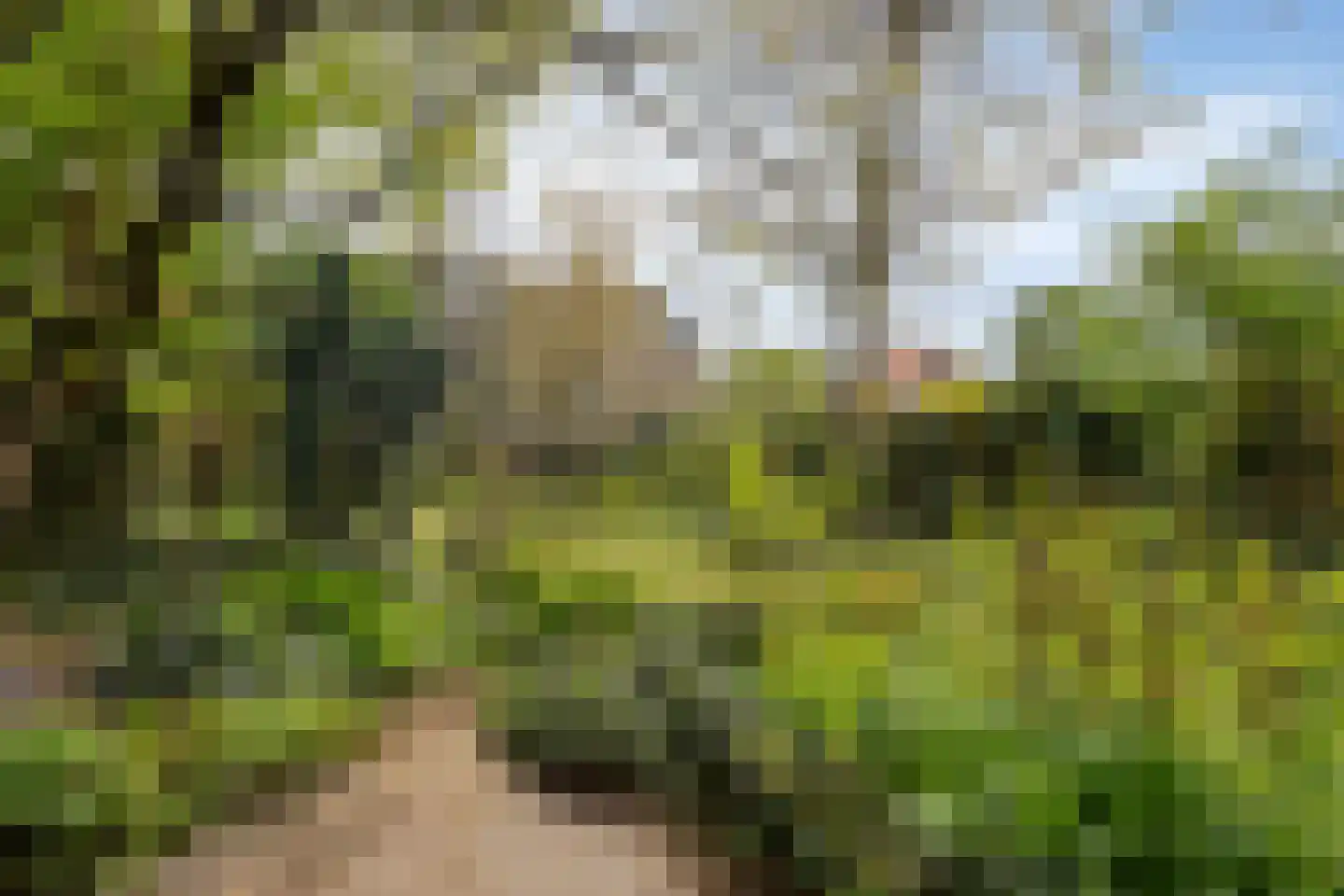 De Wuurde 24 Elst thumbnail 43