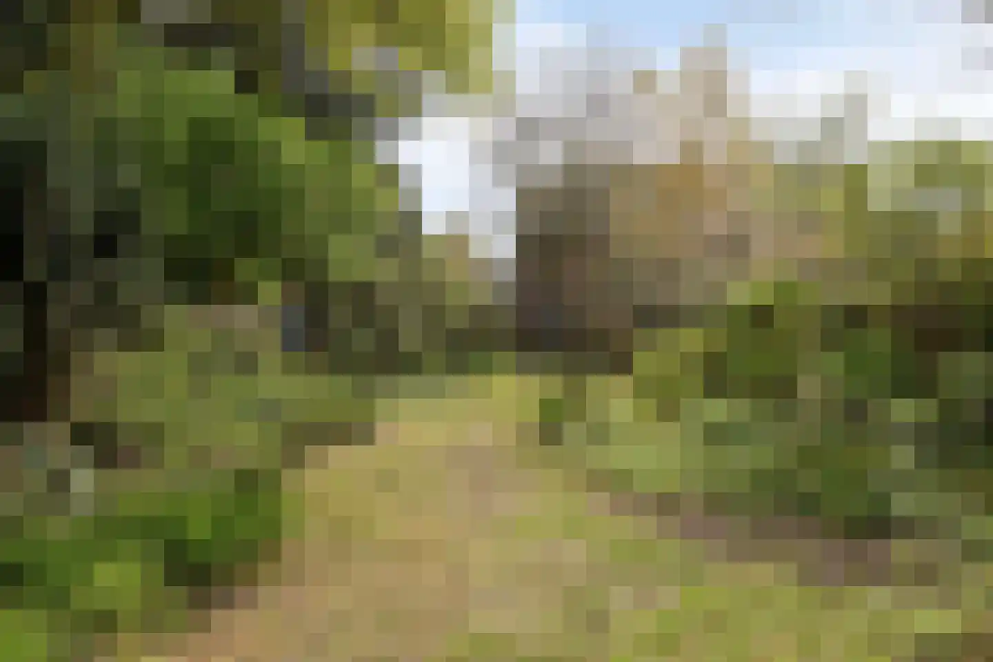 De Wuurde 24 Elst thumbnail 44