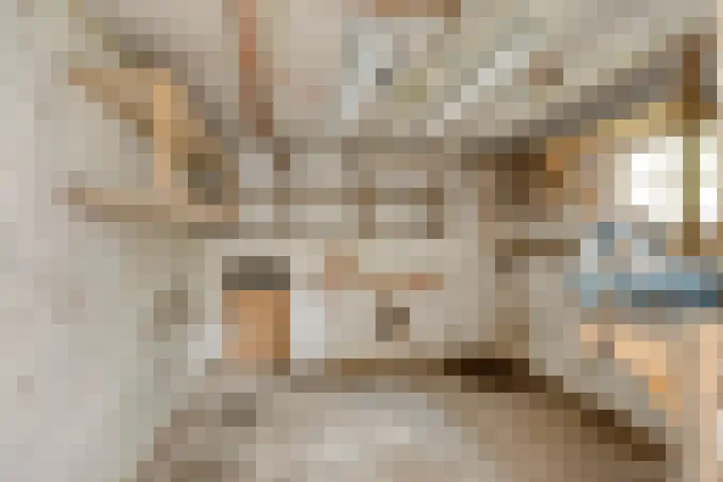 De Wuurde 24 Elst thumbnail 45