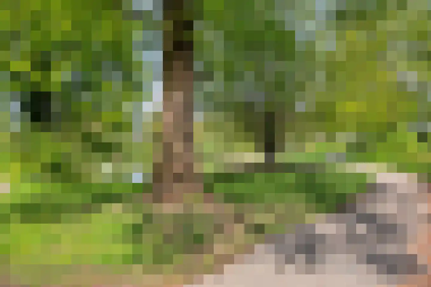 De Wuurde 24 Elst thumbnail 47