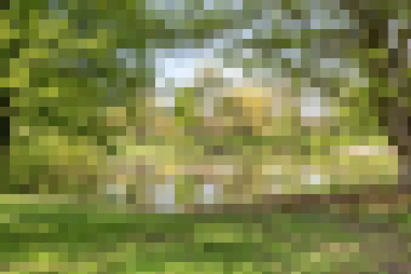 De Wuurde 24 Elst thumbnail 48