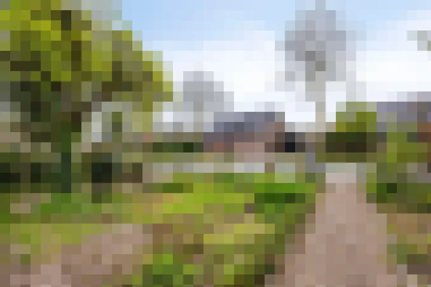 De Wuurde 24 Elst thumbnail 6