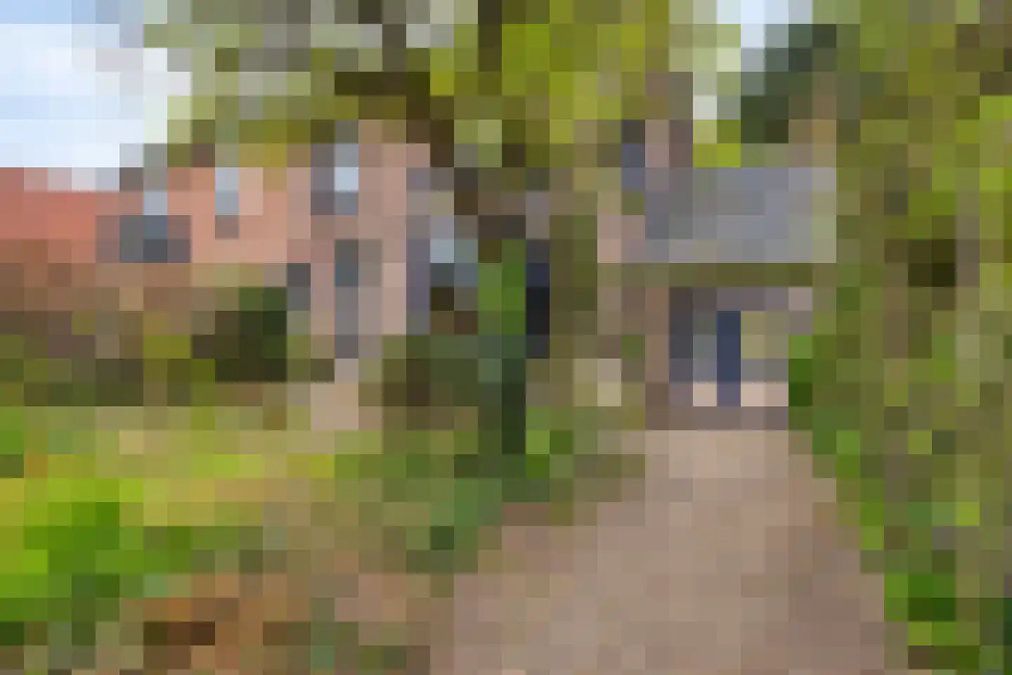 De Wuurde 24 Elst thumbnail 7