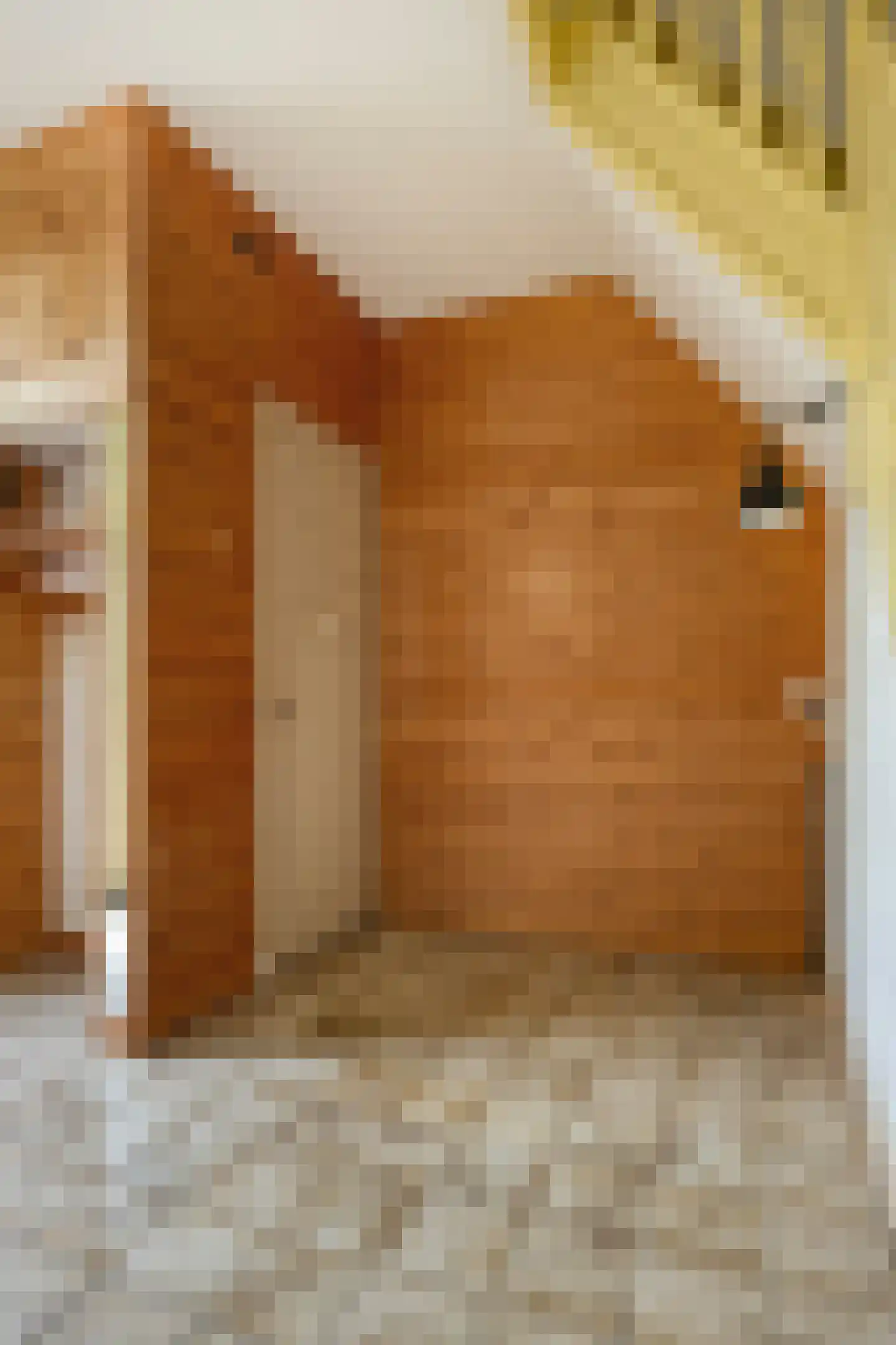 De Wuurde 24 Elst thumbnail 9