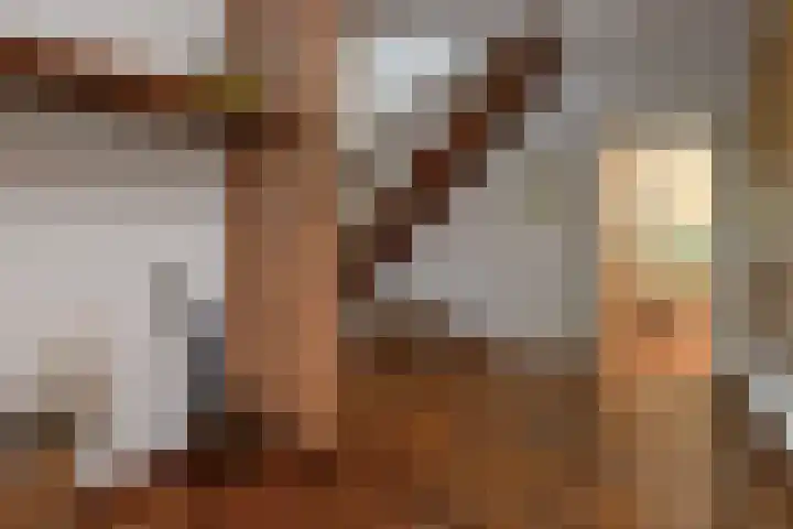 De Wuurde 33 Elst thumbnail 12