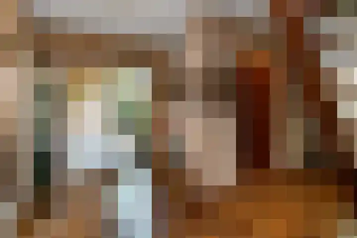 De Wuurde 33 Elst thumbnail 13