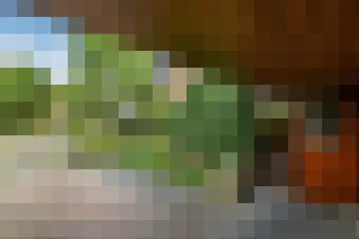 De Wuurde 33 Elst thumbnail 17