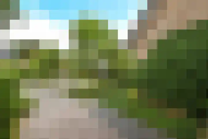 De Wuurde 33 Elst thumbnail 18