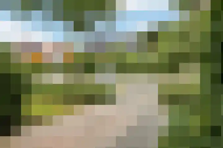 De Wuurde 33 Elst thumbnail 19