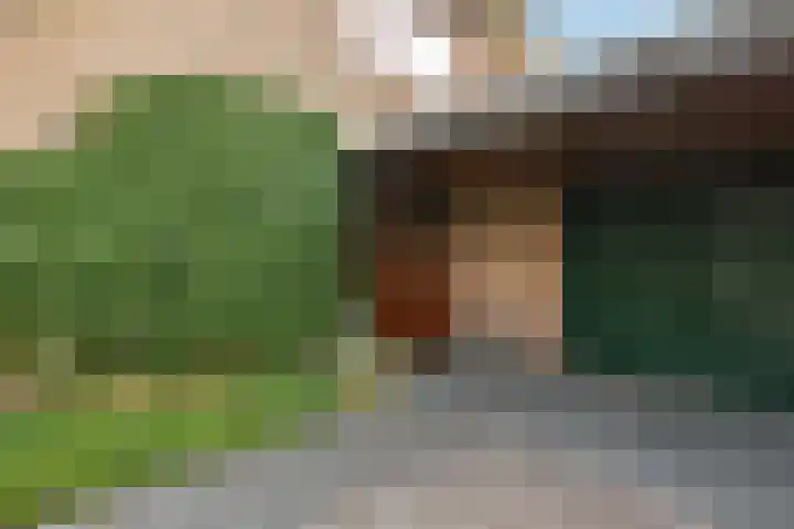 De Wuurde 33 Elst thumbnail 20