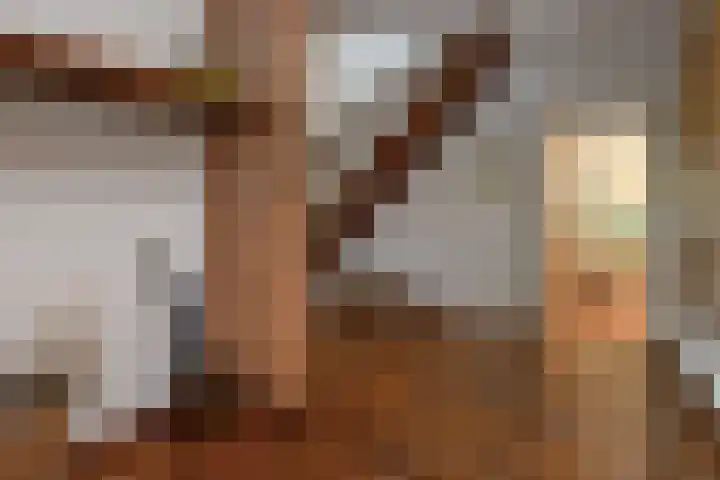 De Wuurde 33 Elst thumbnail 21