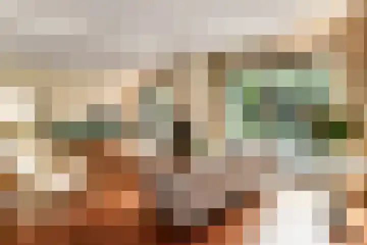 De Wuurde 33 Elst thumbnail 26
