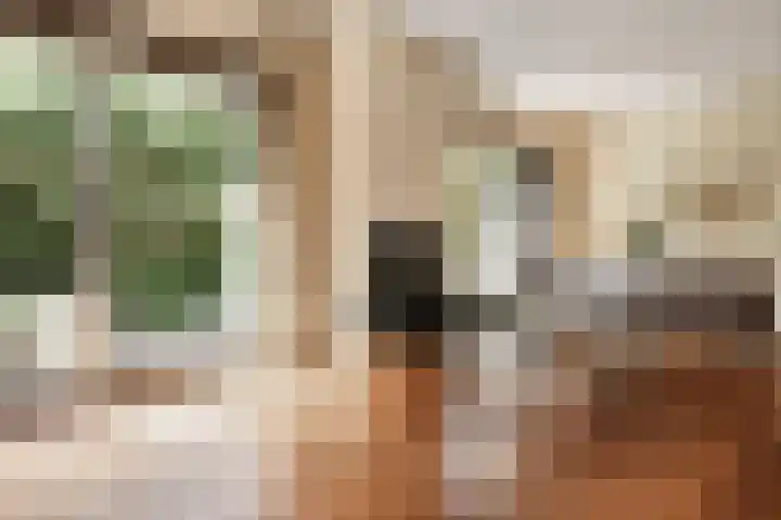 De Wuurde 33 Elst thumbnail 29