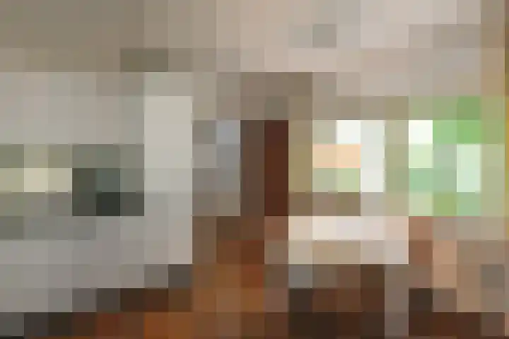 De Wuurde 33 Elst thumbnail 36