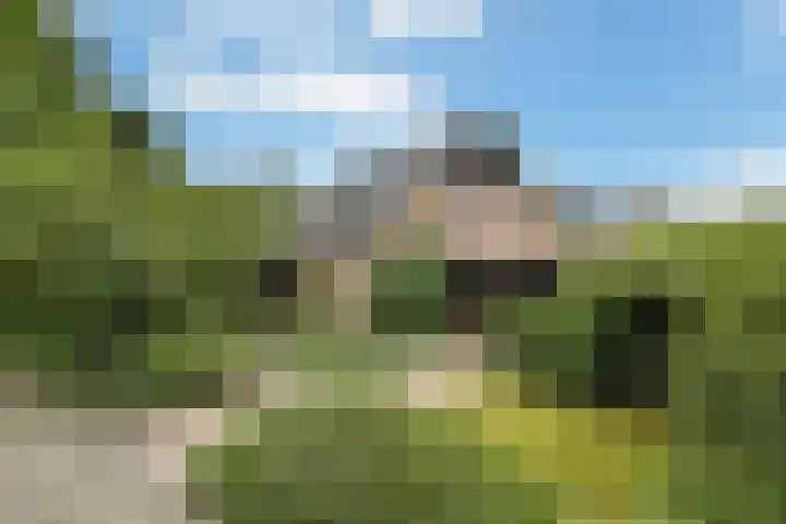 De Wuurde 33 Elst thumbnail 4