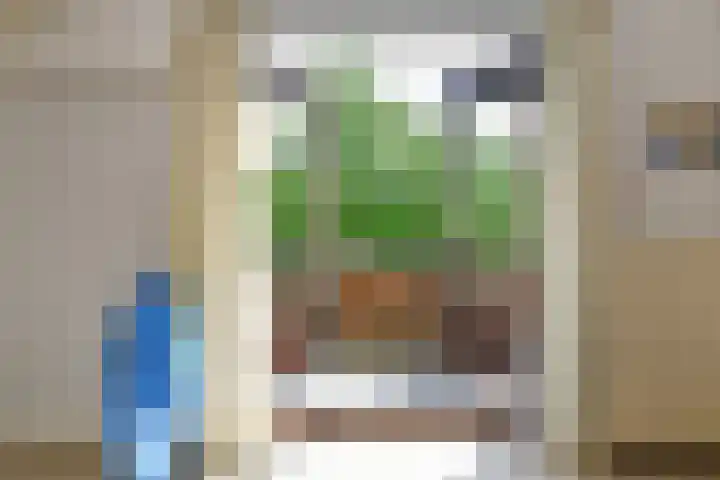 De Wuurde 33 Elst thumbnail 48