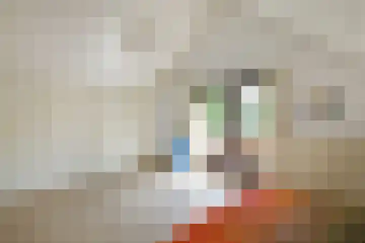 De Wuurde 33 Elst thumbnail 49