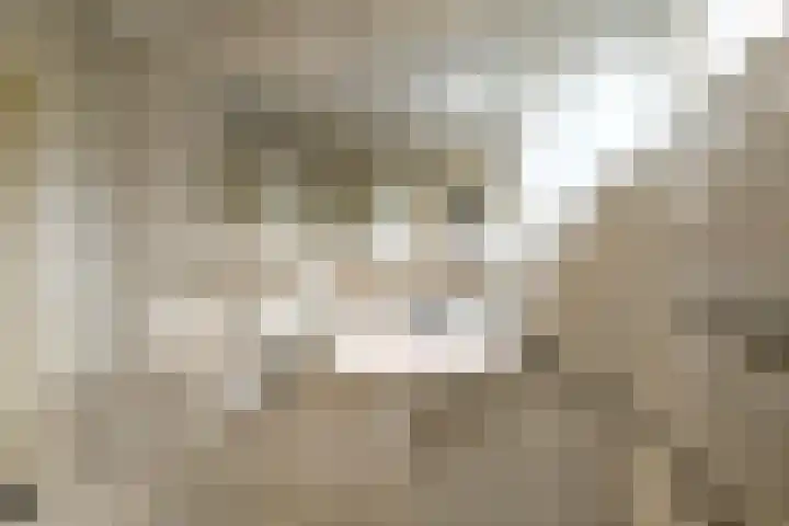 De Wuurde 33 Elst thumbnail 59