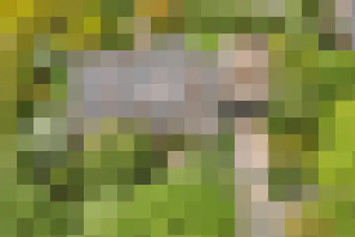 De Wuurde 33 Elst thumbnail 6