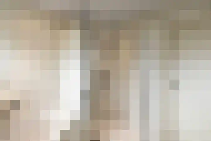 De Wuurde 33 Elst thumbnail 61