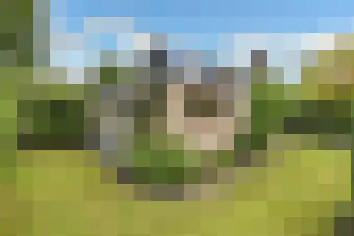 De Wuurde 33 Elst thumbnail 63