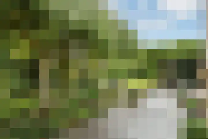 De Wuurde 33 Elst thumbnail 64