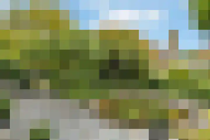 De Wuurde 33 Elst thumbnail 65