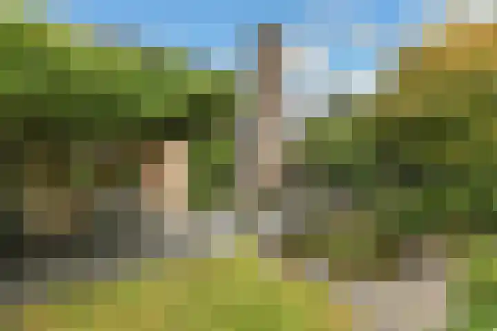 De Wuurde 33 Elst thumbnail 66