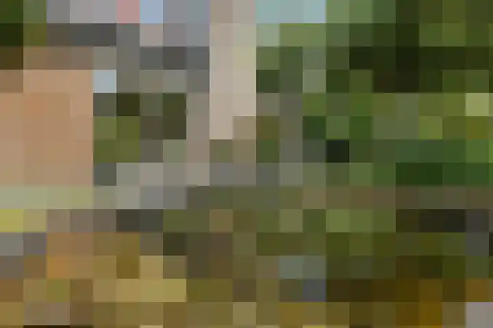 De Wuurde 33 Elst thumbnail 67