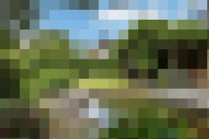 De Wuurde 33 Elst thumbnail 68