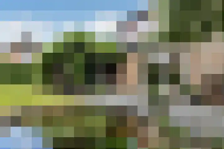 De Wuurde 33 Elst thumbnail 69