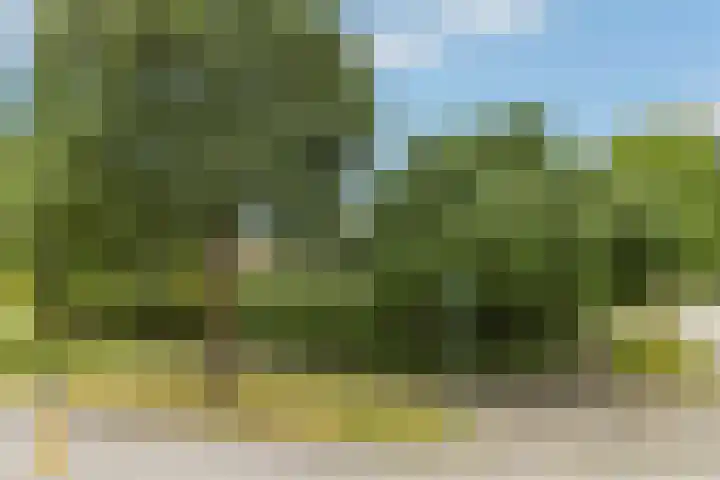 De Wuurde 33 Elst thumbnail 7