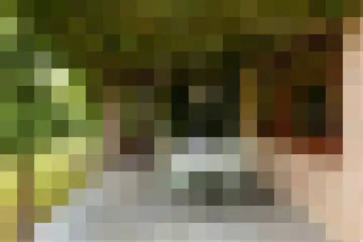 De Wuurde 33 Elst thumbnail 72