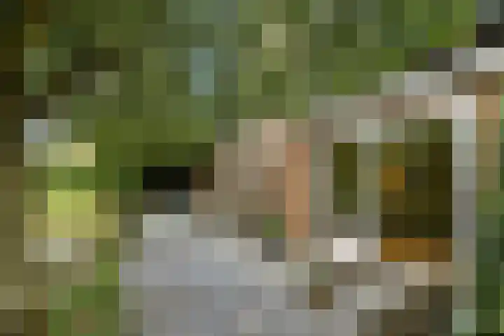 De Wuurde 33 Elst thumbnail 73