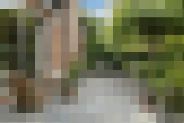 De Wuurde 33 Elst thumbnail 74