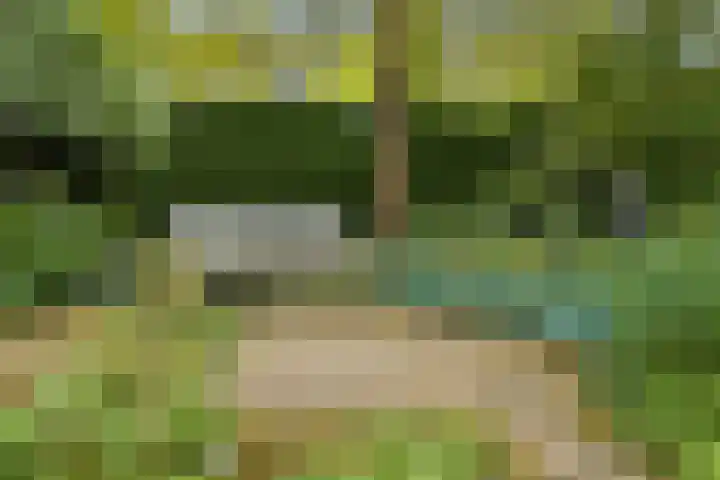 De Wuurde 33 Elst thumbnail 75