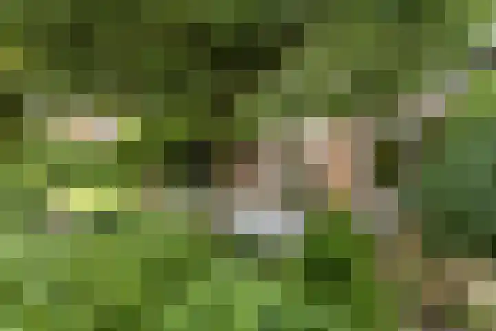 De Wuurde 33 Elst thumbnail 76