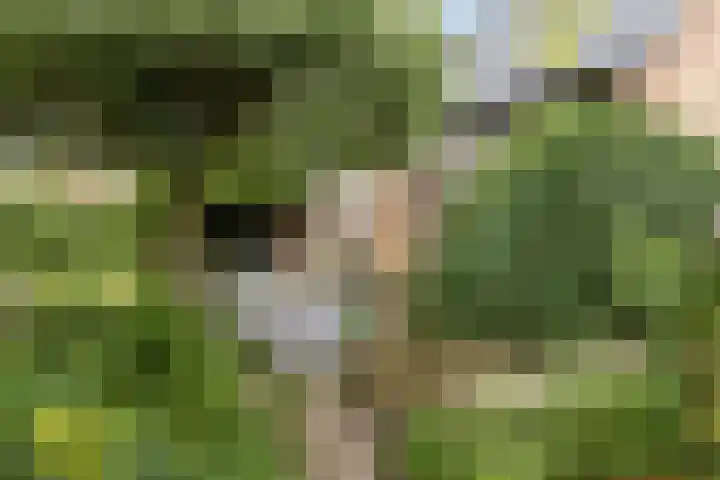 De Wuurde 33 Elst thumbnail 77