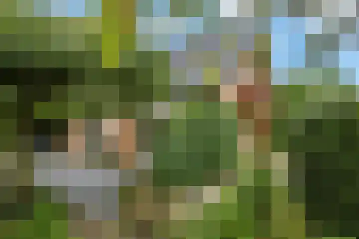 De Wuurde 33 Elst thumbnail 78